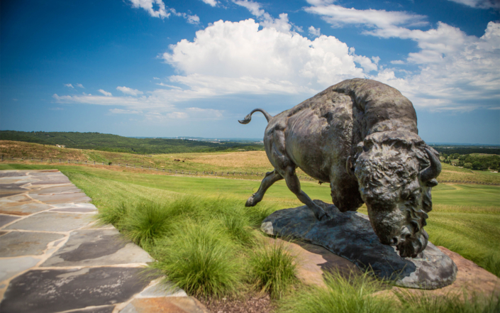 Buffalo Ridge Buffalo Statue