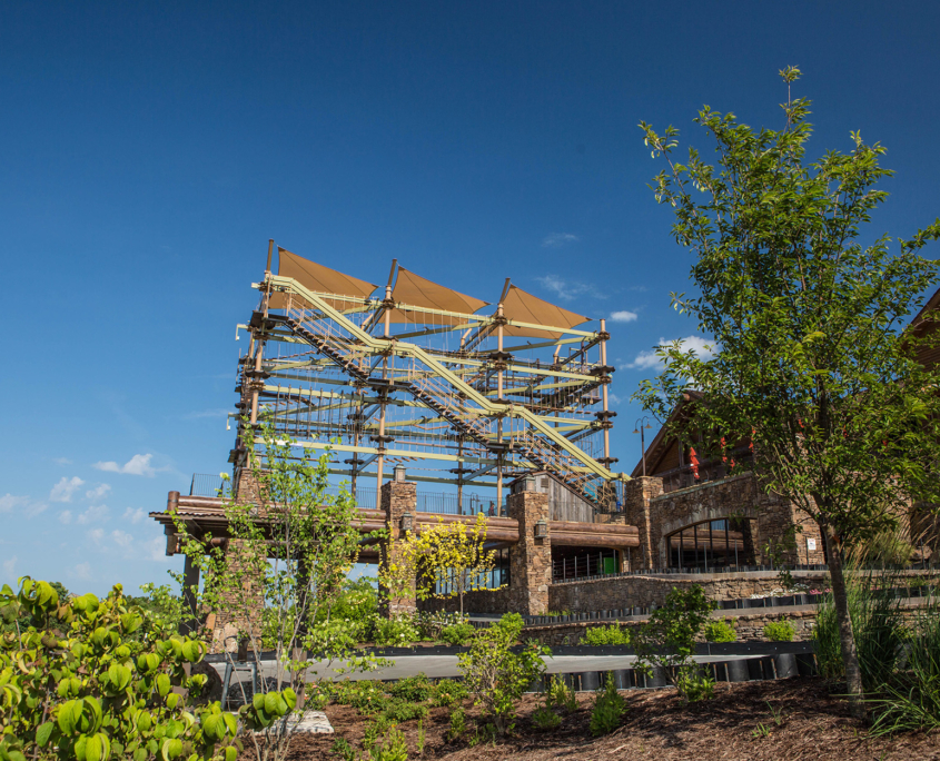 Fun Mountain at Big Cedar Lodge